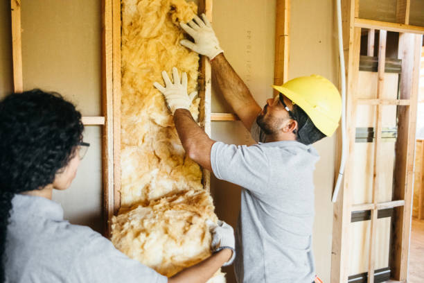 Best Home Insulation Services  in Medicine Lodge, KS